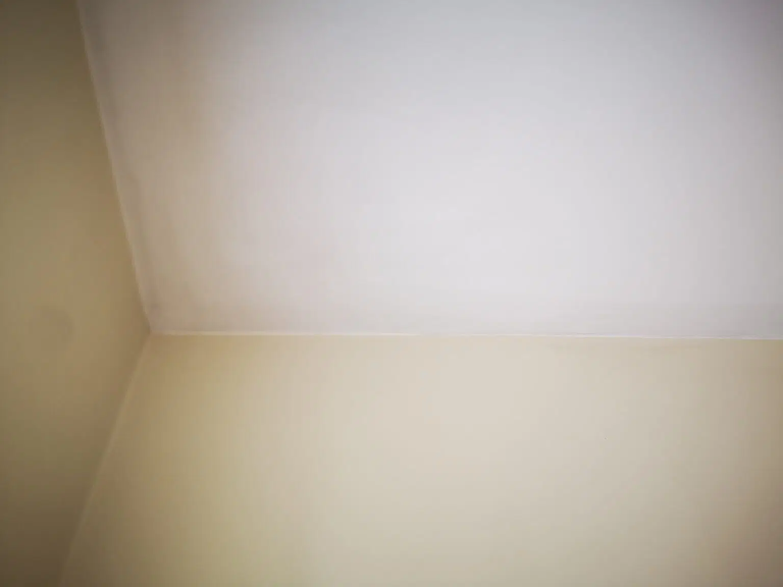 pelėsio naikinimas kambaryje po