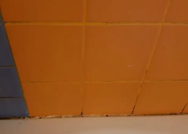 pelėsio naikinimas vonioje prieš