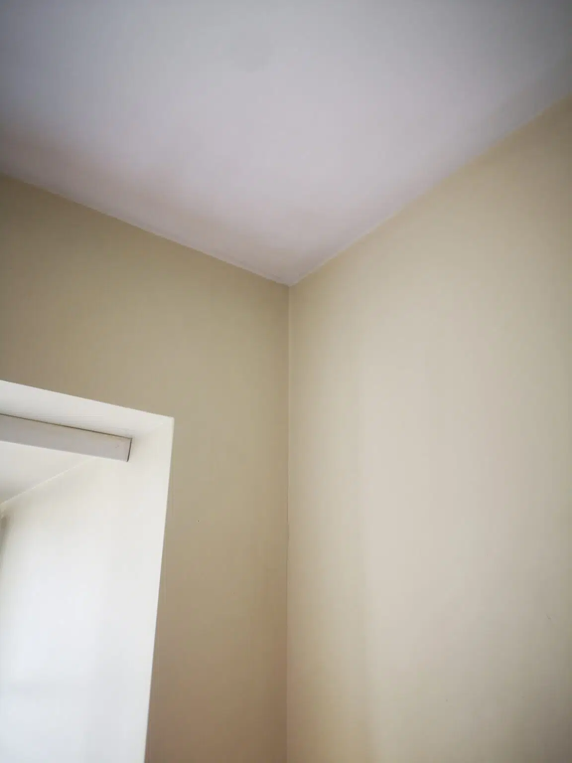 pelėsio naikinimas nuo sienų po