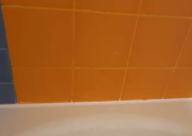 pelėsio naikinimas vonioje po