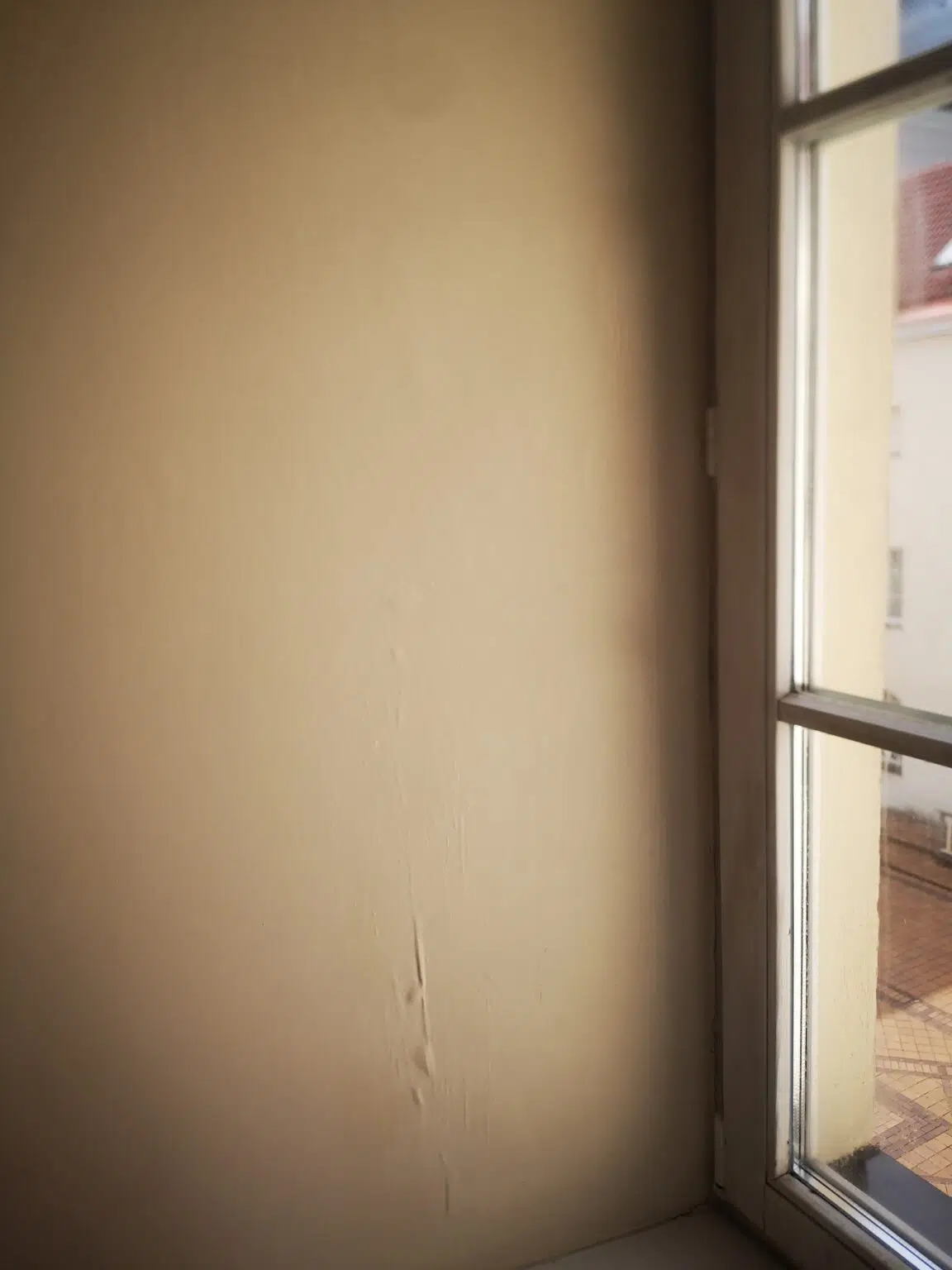 pelėsio naikinimas namuose po