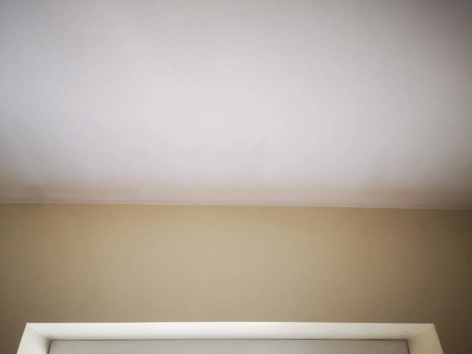 pelėsio šalinimas nuo sienos po