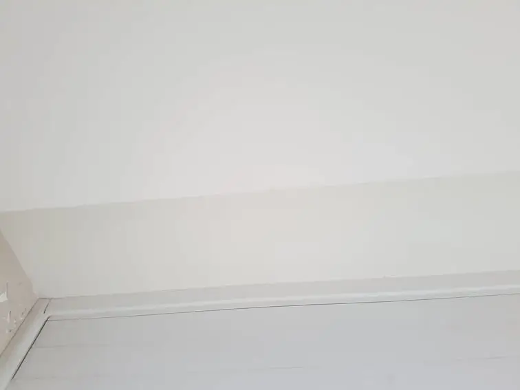 pelėsio naikinimas bute po