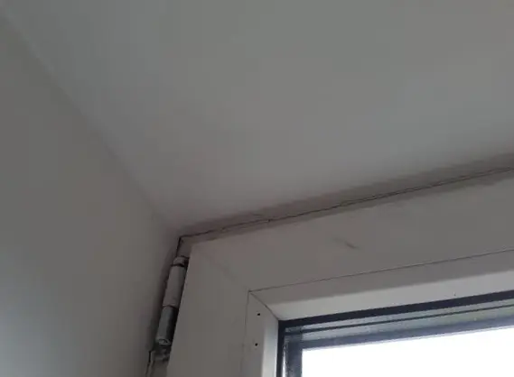 pelėsio šalinimas ant lubų po