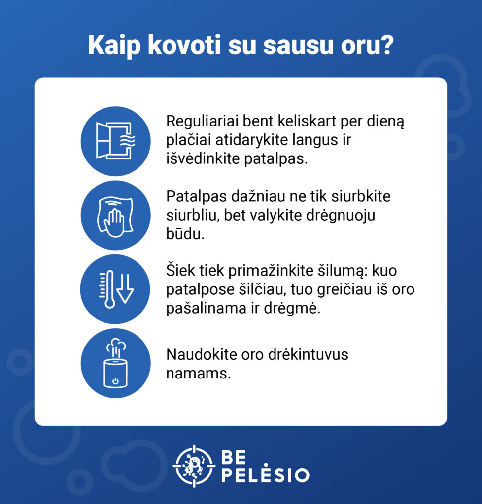 Sausas oras namuose: kuo jis pavojingas ir ką daryti? 4 kaip kovoti su sausu oru