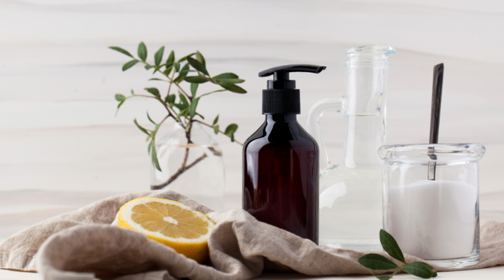 Liaudiškos priemonės nuo pelėsio: geriausi pelėsio valikliai 1 liaudiškos priemonės nuo pelėsio